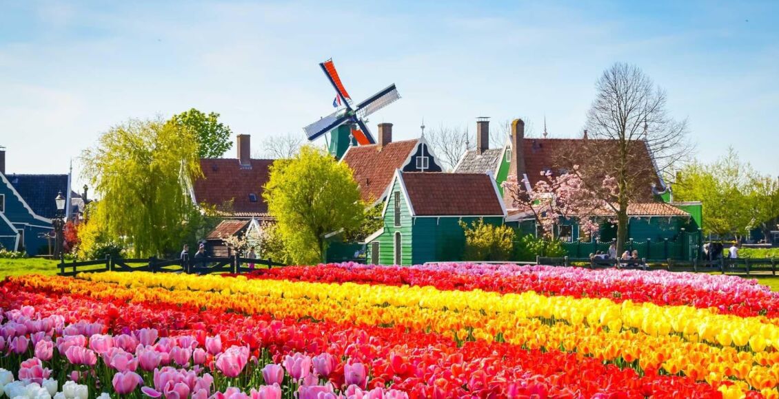 مميزات الدراسة في هولندا