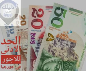 الحد الأدنى للأجور في جورجيا
