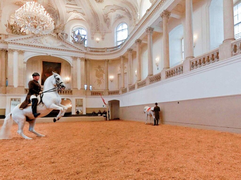 أشياء يجب فعلها في النمسا