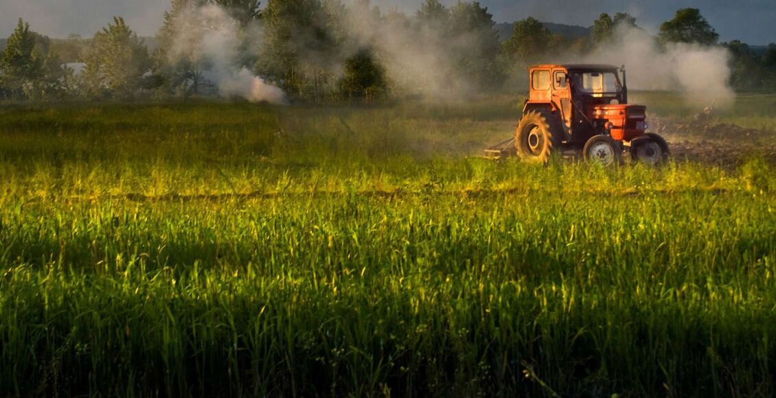 العمل في الزراعة في فنلندا