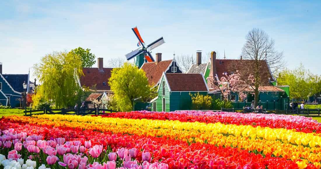 انشطة ترفيهية في هولندا