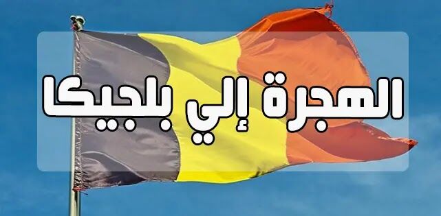 علم بلجيكا - الهجرة إلى بلجيكا