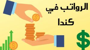 تعبيرية عن قيمة الرواتب في كندا بالدولار الكندي التي تمنح من صاحب العمل للعامل