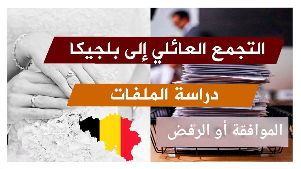 مجموعة من الملفات يتم دراستها - التجمع العائلي في بلجيكا