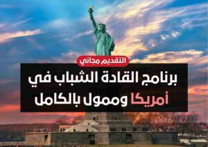 برنامج زمالة القادة الشباب في أمريكا