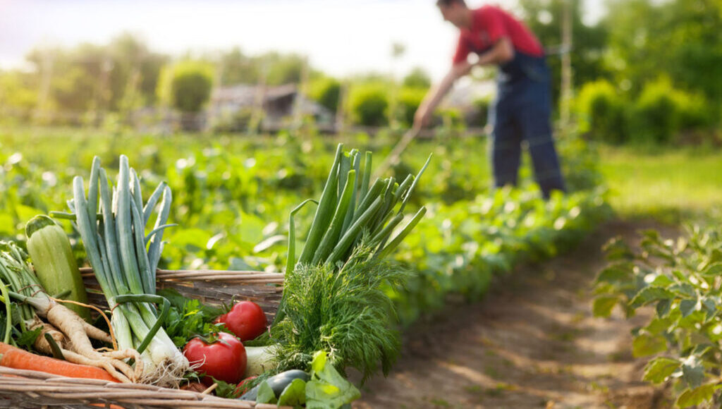 مزارعين - فرص عمل في فنلندا للمزارعين