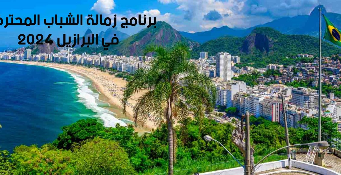 برنامج زمالة الشباب المحترفين في البرازيل 2024